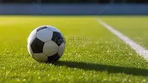 福登加盟引图赫尔甜蜜难题，斯通斯赞谢尔基冷静魅力