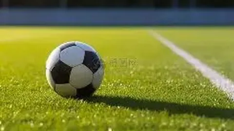 偶像丢弃粉丝赠花引粉丝泪洒现场