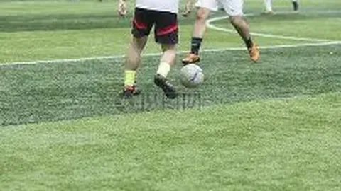 亚博体彩 资讯 101001 x0t